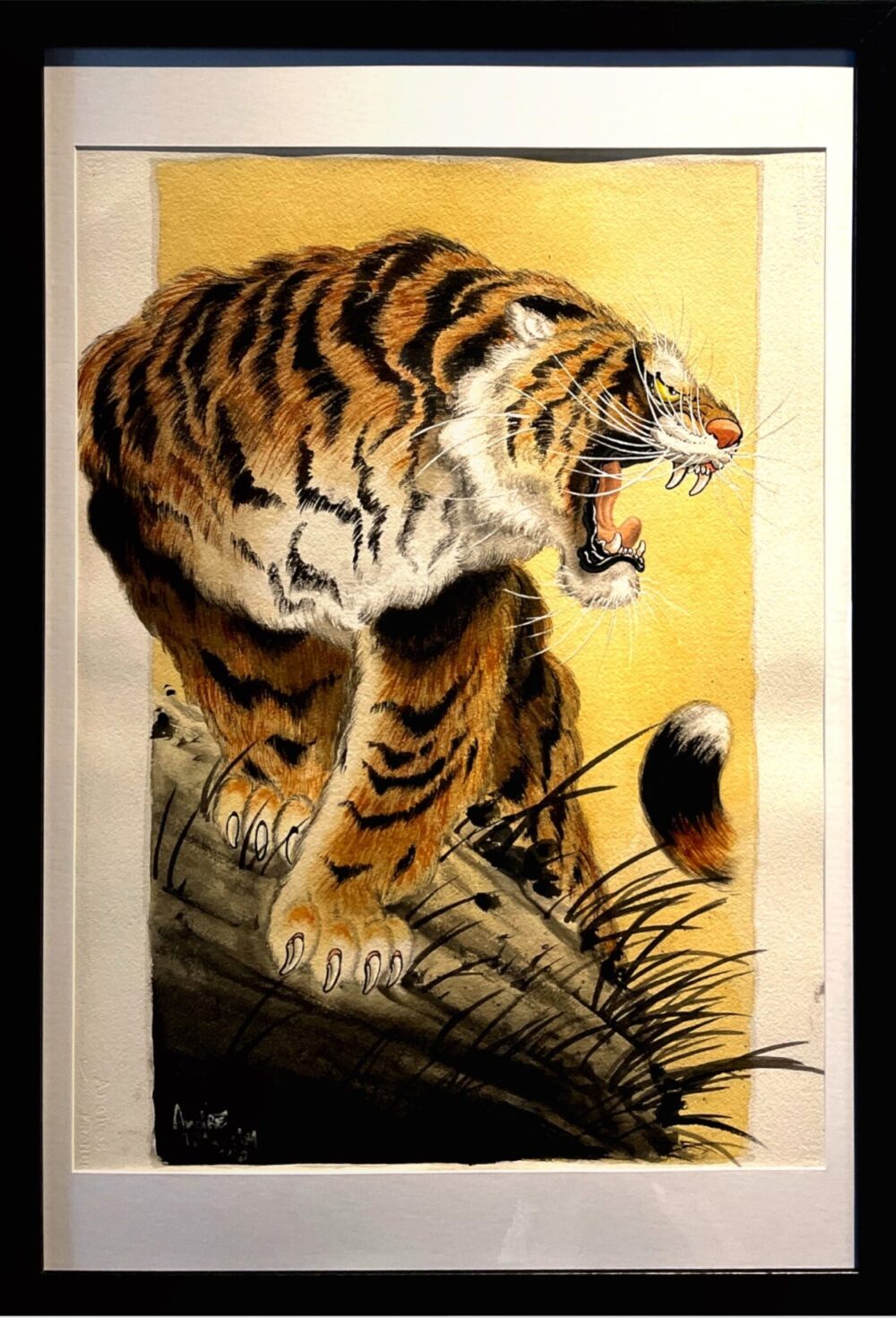 Panthera Tigris