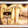 cropped Jeff Croci Tigris Dentata 800 acrylic.masonite 11.5x14.5
