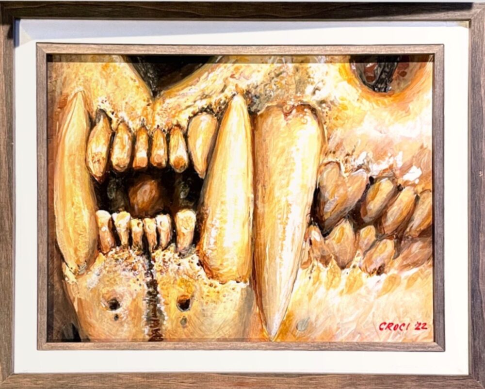 Tigres Dentata