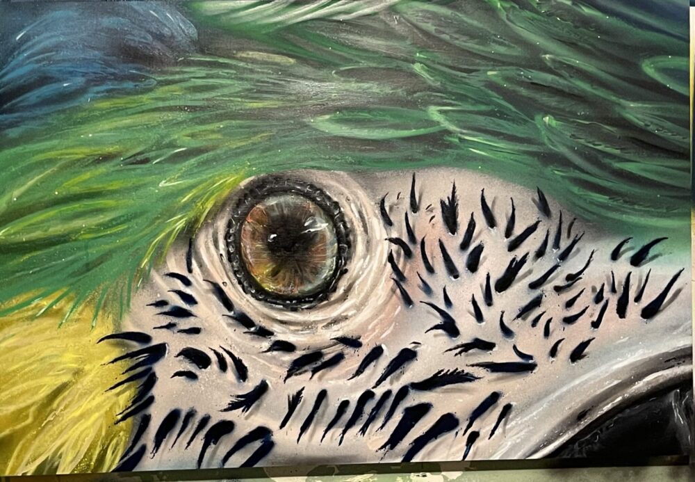 Eye C U