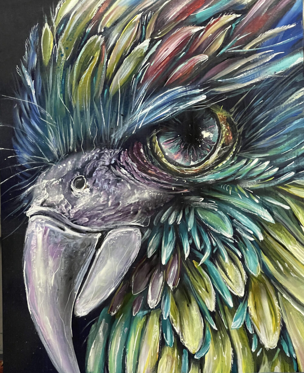Macaw