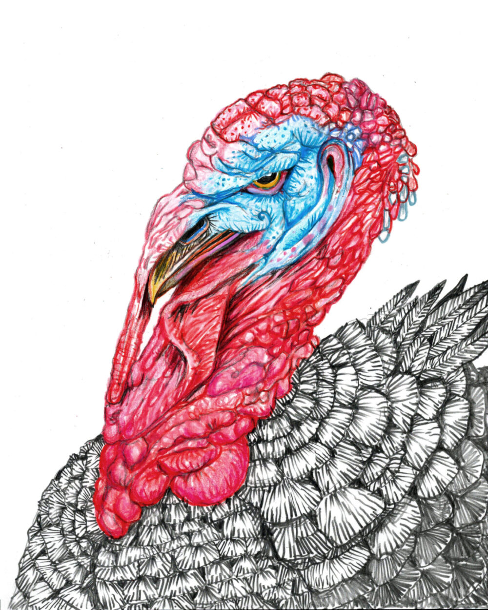 King Turkey