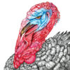 John Casey King Turkey 400 colored pencil 0n paper 10 x8 2023 scaled scaled