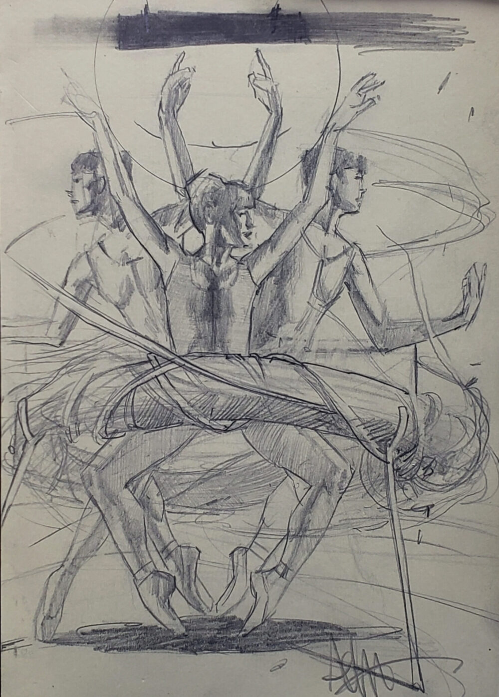 The Torus
