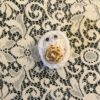 Deviled Egg