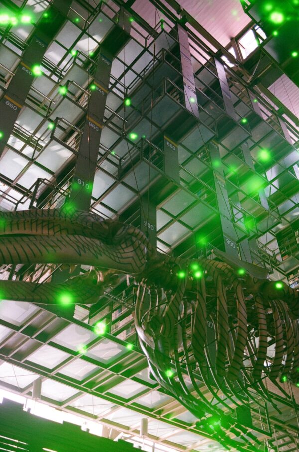 Pasado Presente Futuro, CDMX