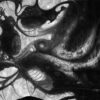 Inner Workings by Randy Gaul
