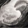 Landscape 8 by Randy Gaul