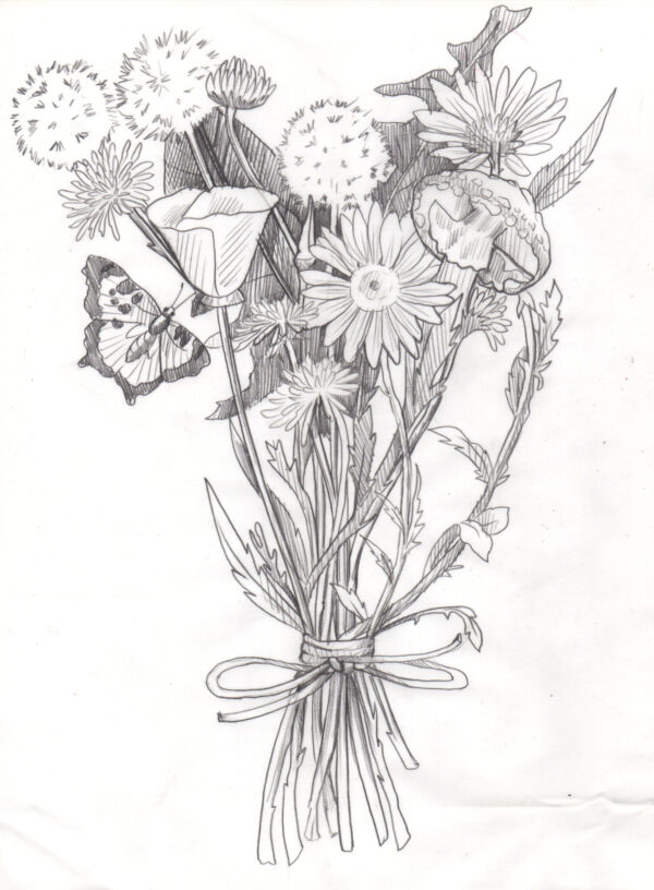 Dandelion Bouquet Sketch