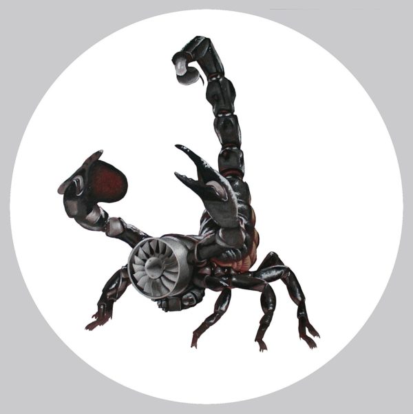 Scorpion - Ottis