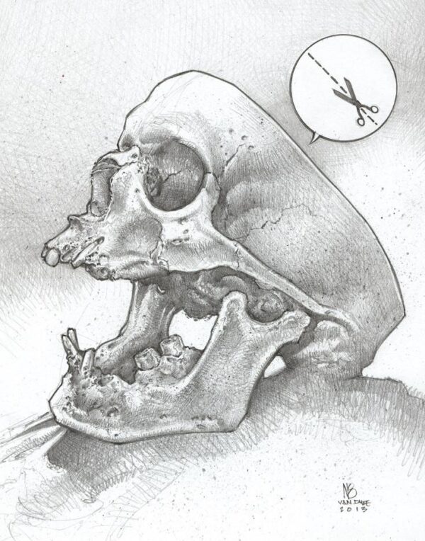 Cut Here To Remove Contents