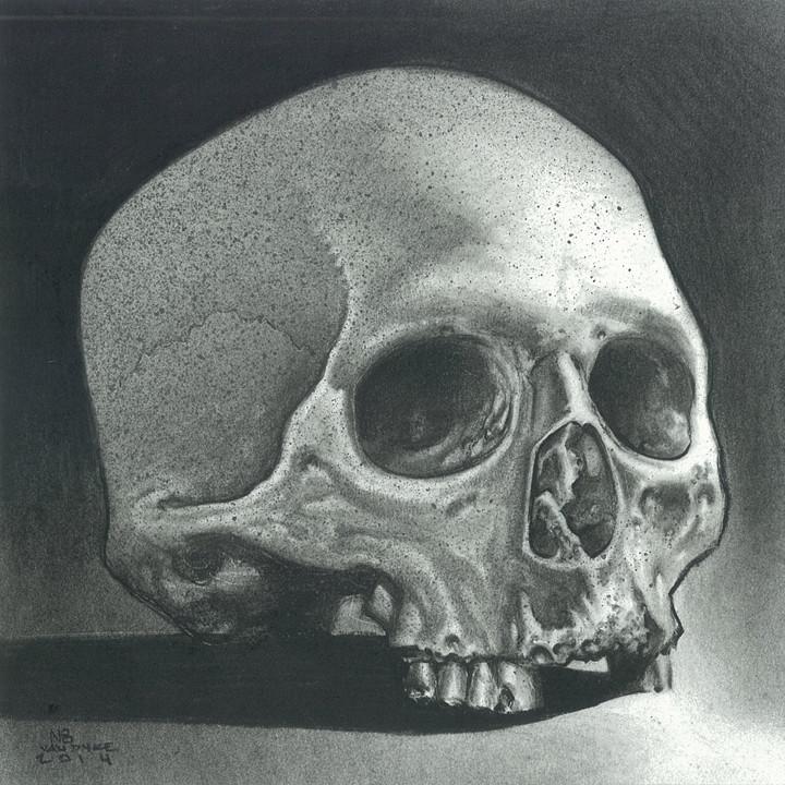 Skull Study (Charcoal)