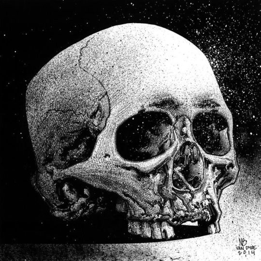 Skull Study (Ink)