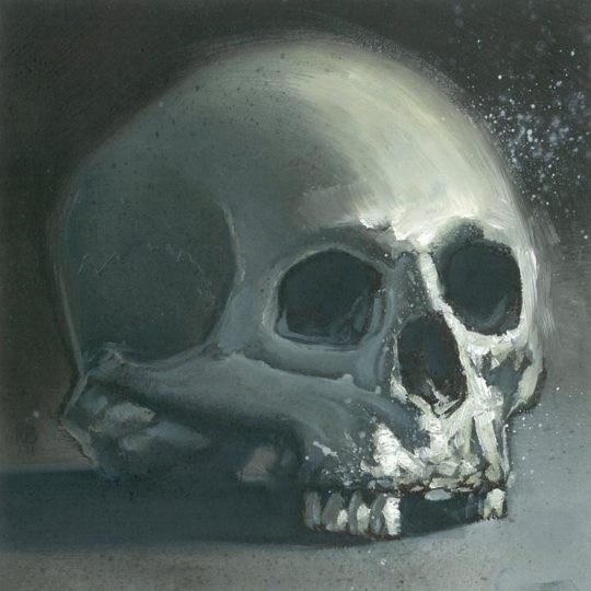 Skull Study (Oil)