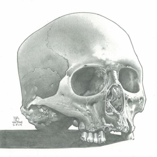 Skull Study (Pencil)