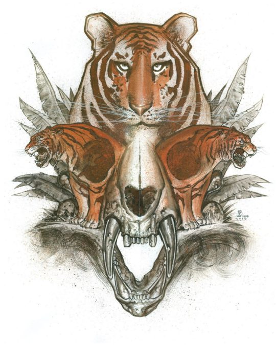 Rusty Tiger by Nate Van Dyke