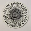 sunflower john casey rotated
